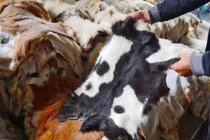 “KURBAN BAYRAMINDA İSRAF VE EZİYET OLMAMALI”