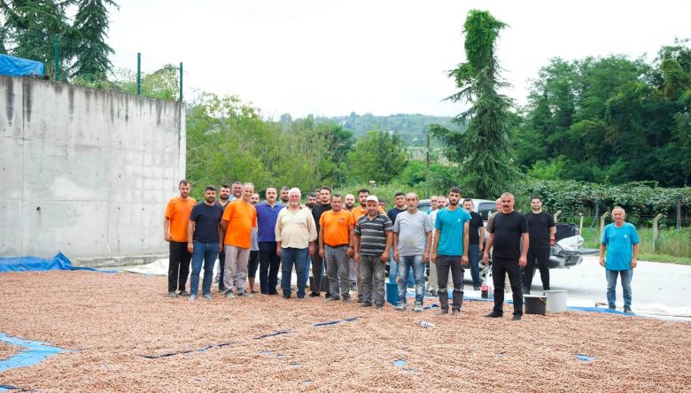 ŞANLITÜRK, FINDIK HARMANINDA ALIN TERİNE ORTAK OLDU