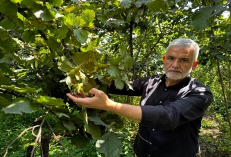 AKÇA: ARTIK BU SOYGUNA SON VERİLMELİ!