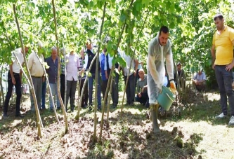 AZOTLU GÜBRE UYGULAMA YÖNTEMİ!