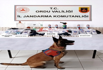 JANDARMA GÖZ AÇTIRMIYOR