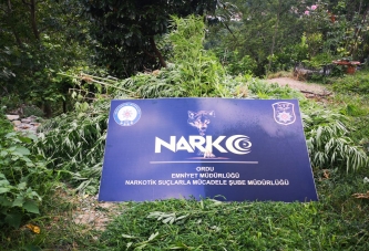 NARKOTİK, NEFES KESTİ