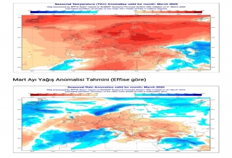 OGM: ORMAN YANGINI RİSKİ KAPIDA!