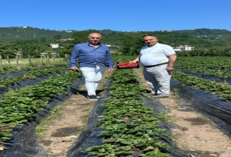 TÜRKİYE’NİN ÇİLEĞİ KAYABAŞI’NDAN