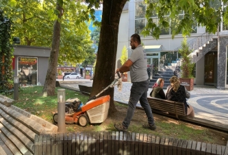   YEŞİL ALANLARDA YOĞUN TEMPO