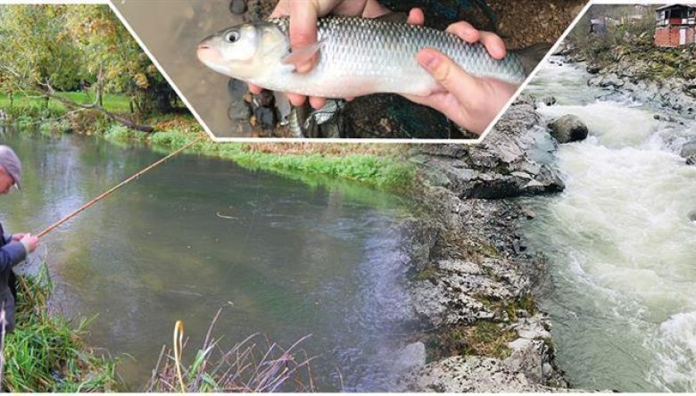 İÇ SULARDA AV YASAĞI 1 NİSAN’DA BAŞLIYOR