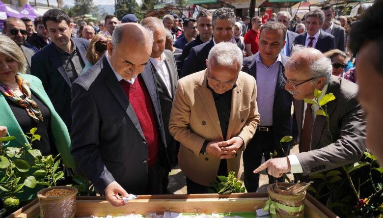 ATALIK TOHUMLAR  GELECEĞE TAŞINDI