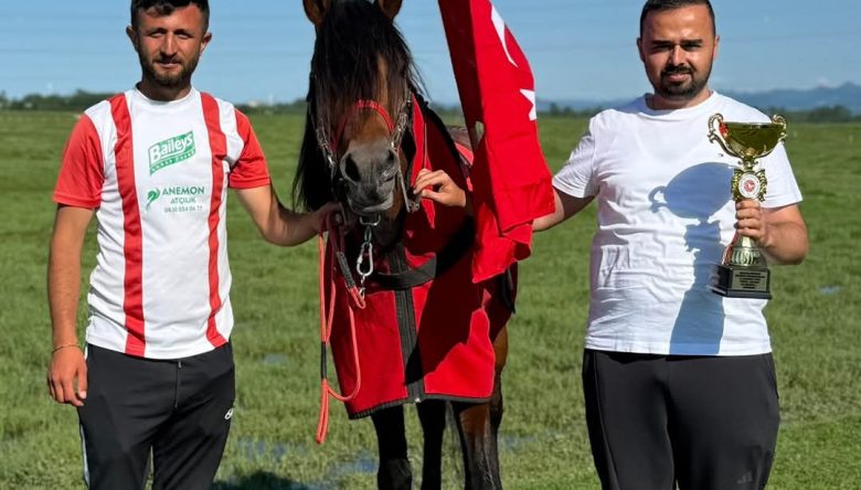 Terme’de Zafer Alparslan Şanlıtürk’ün “Toros” İsimli Atının Oldu!