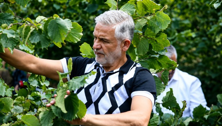 REKOLTE TAMAM, GÖZLER FİYATTA
