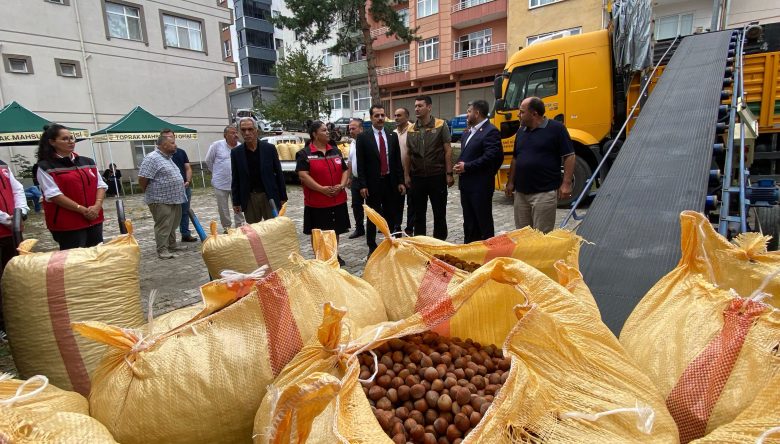 ÇAYBAŞI’NDA TMO FINDIK ALIMLARINA BAŞLADI